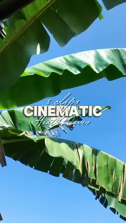 HEAT WAVES