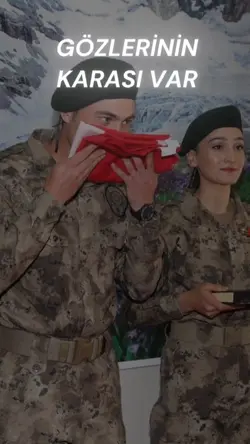 Ülkücü şablon 