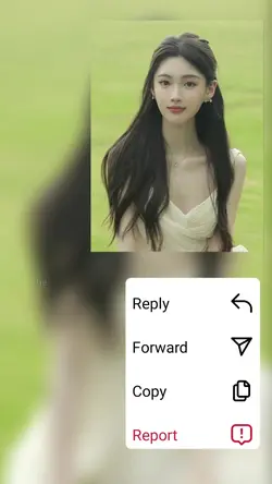 ig reply