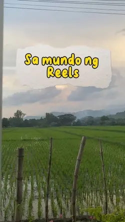 Sa mundo ng Reels