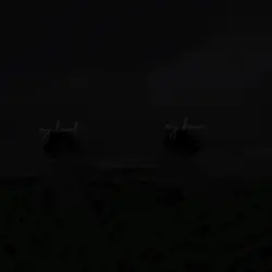 two birds