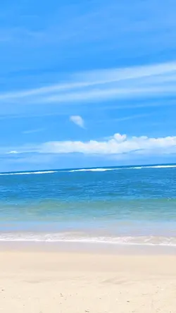 Laut