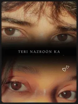 Teri nazron ka