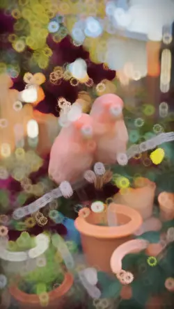 new slowmotion trend