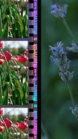 Film Scrolling