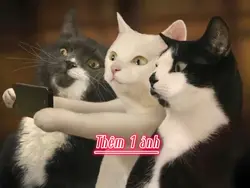 Chụp ảnh 3 ng