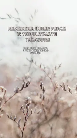 Inspirational Quote