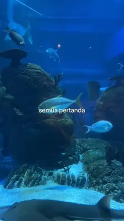 di balik pertanda