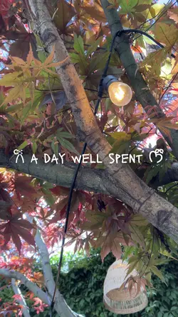 a day well spent
