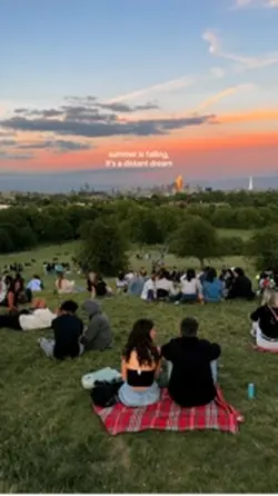 summer is falling 