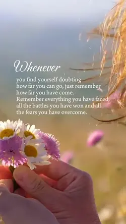 Life Quotes 