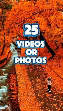 25 videos or photos 