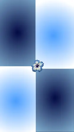 4 pic