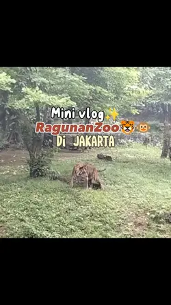 Mini Vlog keluargaku