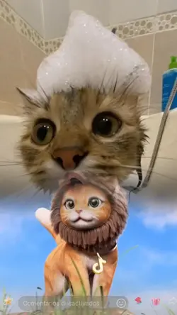 Gatito leon