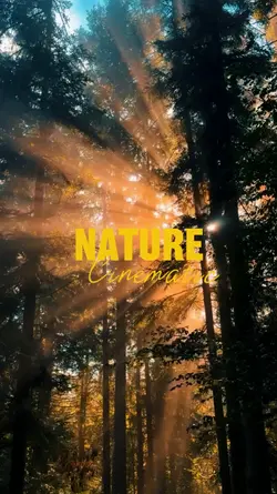 Nature Cinematic