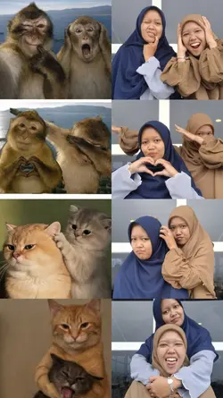 tren foto hewan