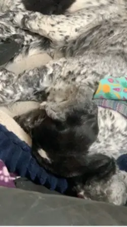 Sleepy girls