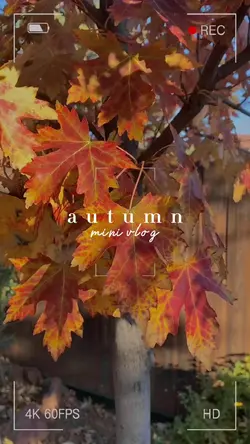 Autumn Mini Vlog