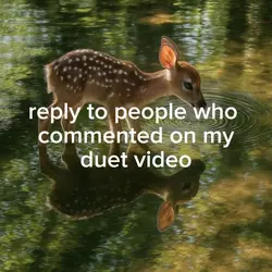 Reply to duet commen