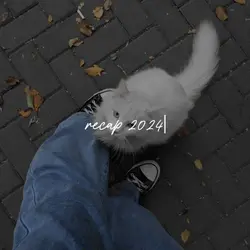 recap 2024 | 40 klip