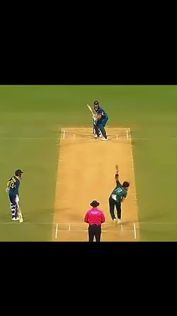 cricket templete 