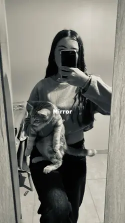Mirror pictures