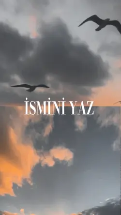 ismini yaz