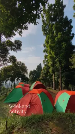 Weekend activity