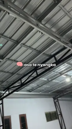 sonik tasik boy