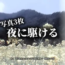 夜に駆ける