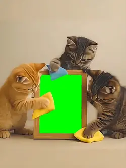 cat's cleaning