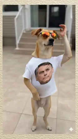 dancing dog 