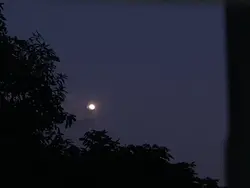 Moon vibes 🌙