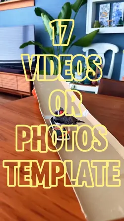 17 TEMPLATES 
