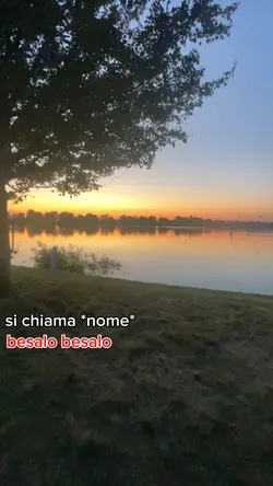 ok tutto, ma la