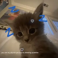 Flex your pets