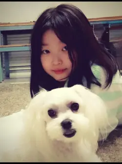yoonchiple yaptiim