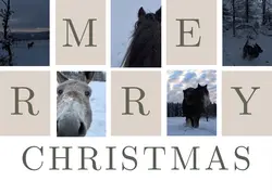 Christmas Card 🎄