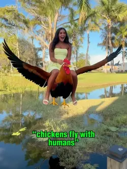 Ai riding a chicken