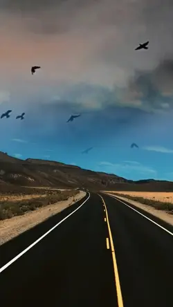 yol