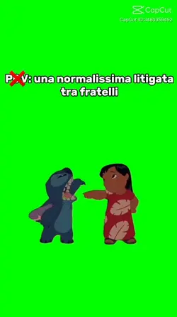 NORMALE LITIGATA 