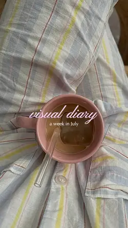 visual diary 