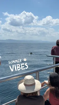 Summer vibes 💦