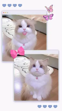 น่ารักๆ