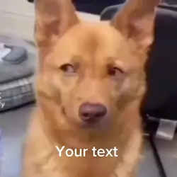 Side eye meme