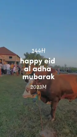 idul adha