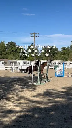FAKE| my ❤️🐴