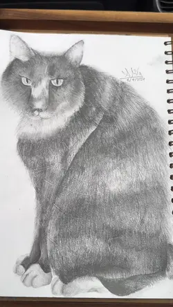 Realistic cat