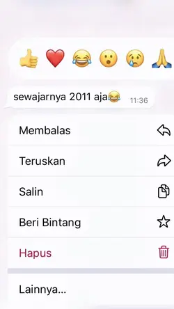 sewajarnya 2011 aja